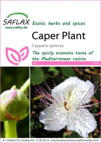17526-capparis-spinosa-seed-package-front-cr-english