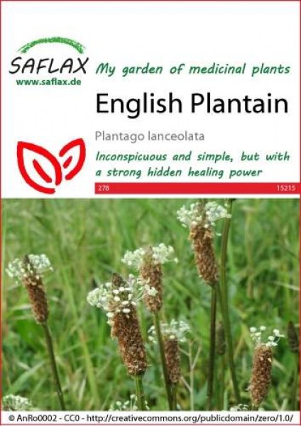 15215-plantago-lanceolata-seed-package-front-cr-english