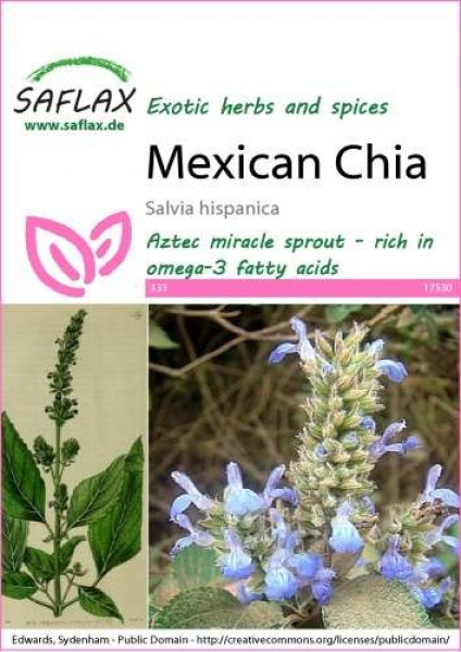 17530-salvia-hispanica-seed-package-front-cr-english
