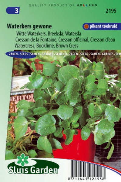 semena salat potocnica zeleniny kvetov bylinky sadit pestovat rajcin paprika uhoriek bazalka jahody
