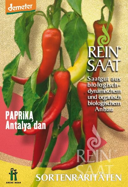 BIO semená, bio paprika, Paprika sladká Antalya dan 