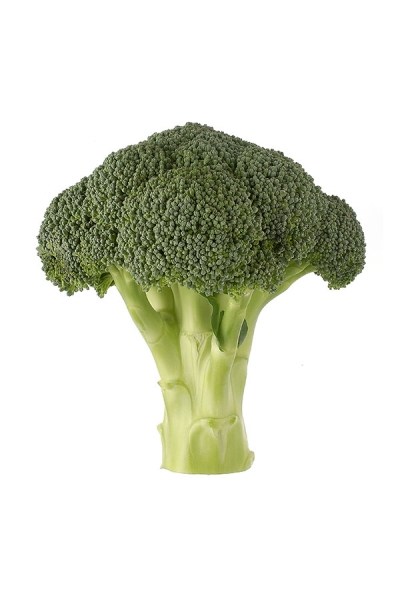 Brokolica Ironman