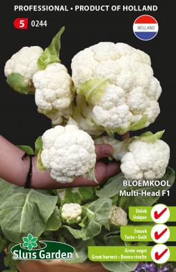 karfiol, semena karfiolu, semena, semená zeleniny