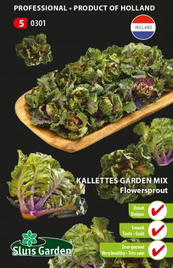 kalettes, semená, kríženec kelu, semená špeciality