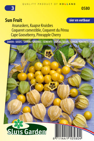 physalis semena zeleniny kvetov bylinky sadit pestovat rajcin paprika uhoriek bazalka