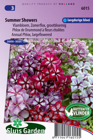 phlox kvety semena zeleniny kvetov bylinky sadit pestovat rajcin paprika uhoriek bazalka