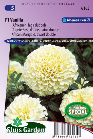 tagetes kvety semena zeleniny kvetov bylinky sadit pestovat rajcin paprika uhoriek bazalka