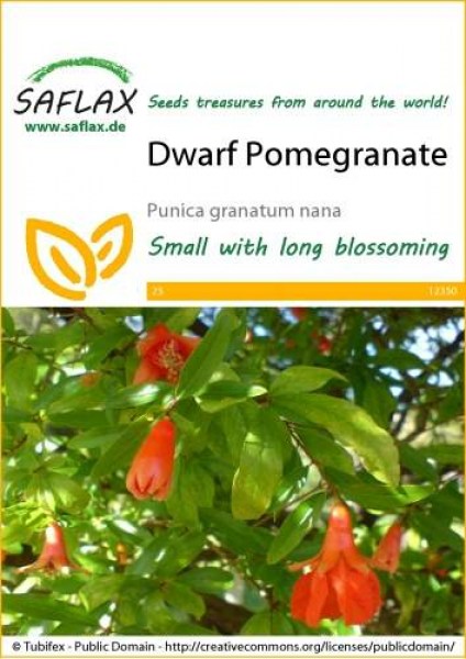 12350-punica-granatum-nana-seed-package-front-cr-english