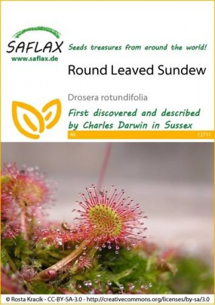12711-drosera-rotundifolia-seed-package-front-cr-english