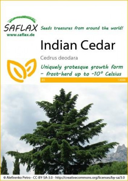 13006-cedrus-deodara-seed-package-front-cr-english
