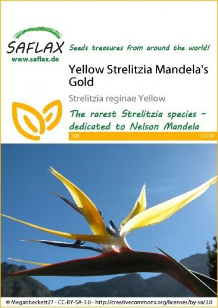 13174-strelitzia-reginae-yellow-seed-package-front-cr-english