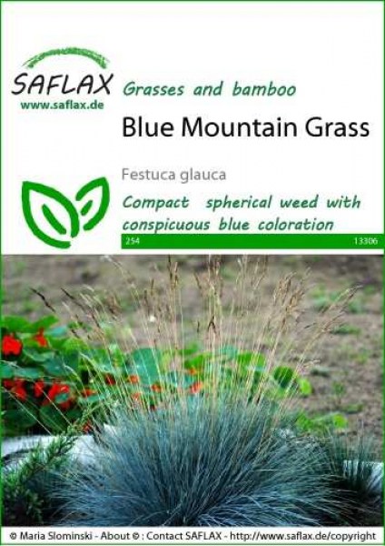 13306-festuca-glauca-seed-package-front-cr-english