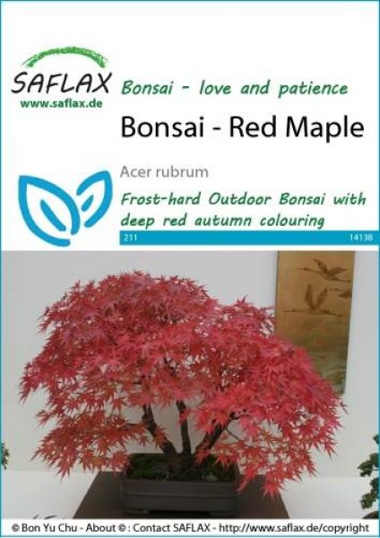 14138-acer-rubrum-seed-package-front-cr-english