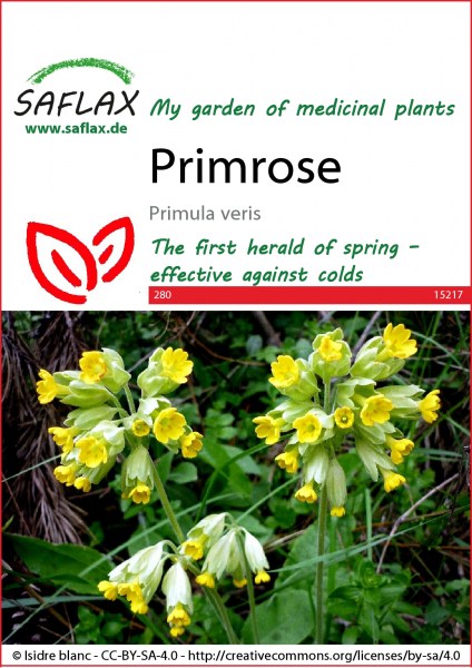 15217-primula-veris-seed-package-front-cr-english