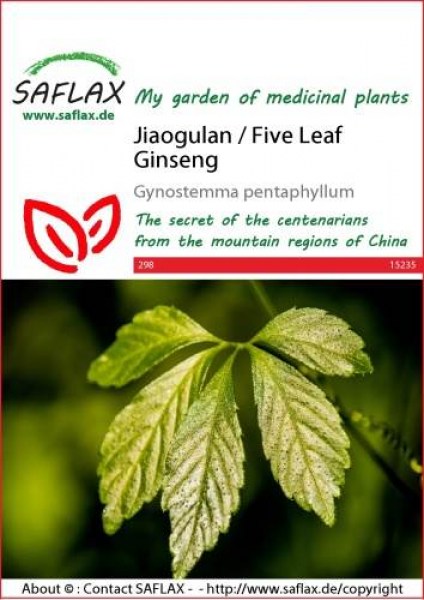 15235-gynostemma-pentaphyllum-seed-package-front-cr-english