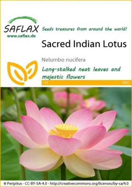 15801-nelumbo-nucifera-seed-package-front-cr-english