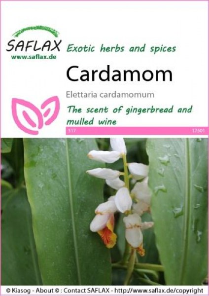 17501-elettaria-cardamomum-seed-package-front-cr-english
