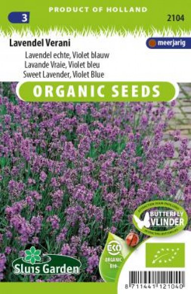 levandula, lavender officinalis