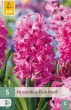 hyacint, kvetove cibulky, cibuloviny, kvety, cibule hyacintov, cubuľoviny