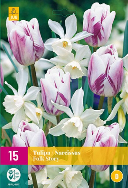Zmes Tulipánov a narcisov Narcissus Folk Story