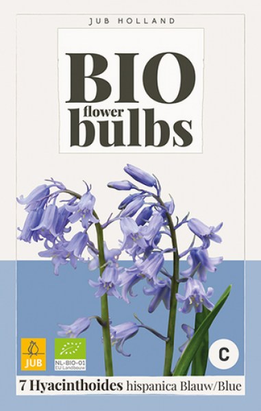 HYACINTHOIDES-HISPANICA-BLAUW