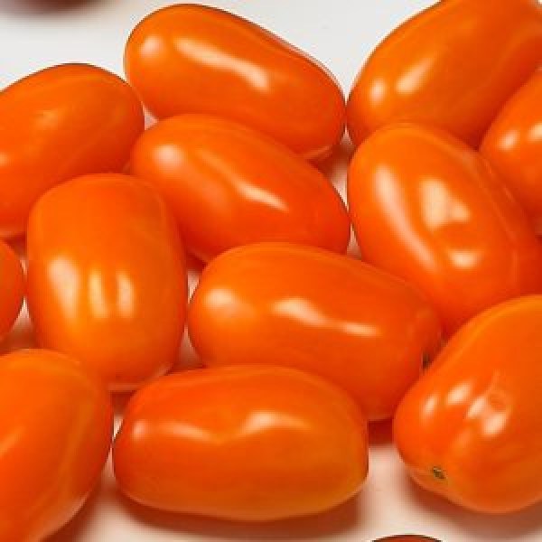 cherry rajciny, oranzove rajciny, sladke rajciny, vyborne rajciny, oranzove chery paradajky, 