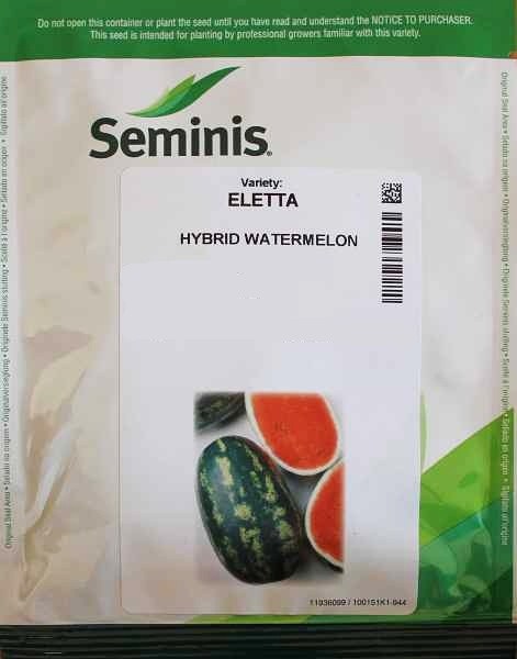 Dyňa, melón vodný Melania F1 (Seminis)