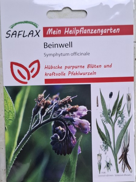 Kostihoj lekársky, Symphytum officinale 
