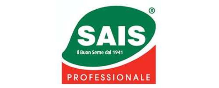 sais_1