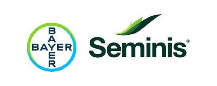 seminis_1