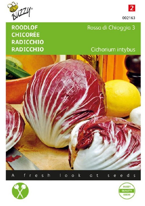 Čakanka Rossa di Chioggia 3 cca 3 g