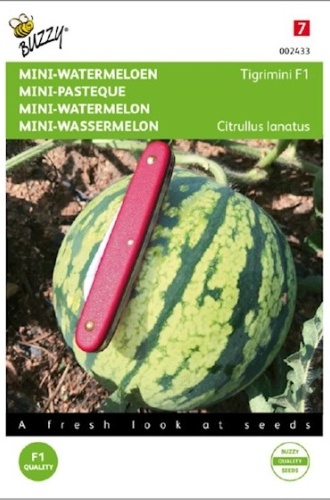 Dyňa (melón vodný) mini Tigrimini F1 cca 6 semien