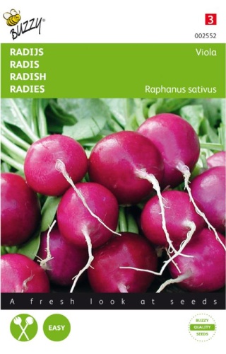 Reďkovka (reďkev) fialová Viola cca. 2,5g semien