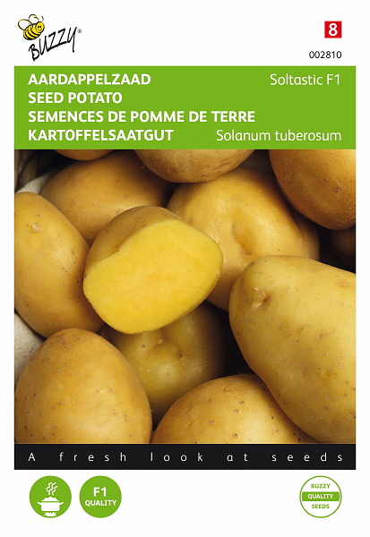 Zemiaky Soltastic F1, cca 8 semien