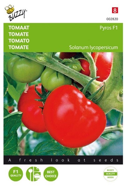 Rajčiak indeterminantný Pyros F1 cca 25 semien