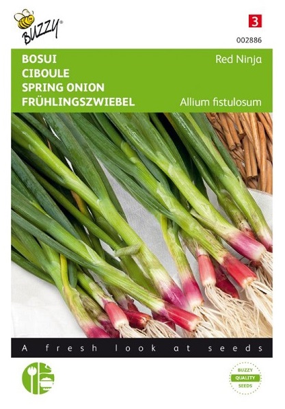Cibuľa zväzková, červená Red Ninja cca. 0,5 g
