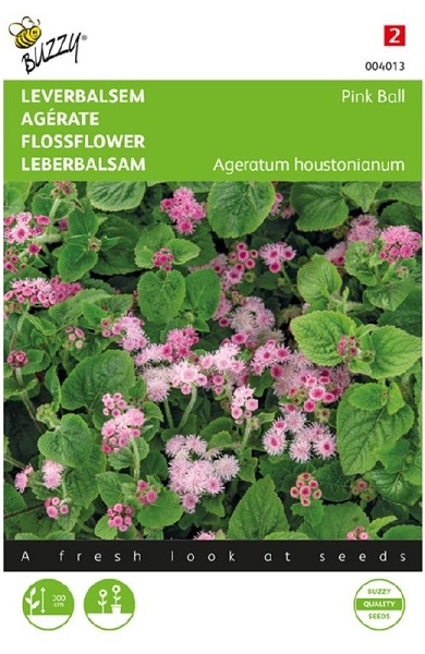 Ageratum houstonianum Pink Ball cca 0,2 g