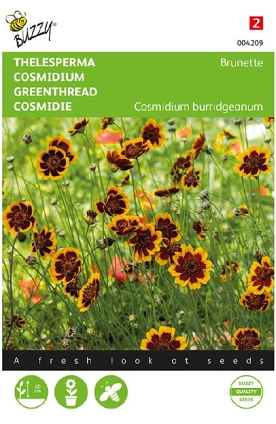 Cosmidium burridgeanum (Kosmídium) Brunette cca 0,5 g