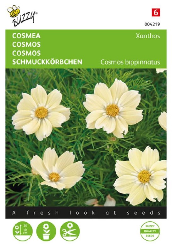 Cosmos bipinnatus (Krasuľka perovitá) Xanthos cca 10 semien
