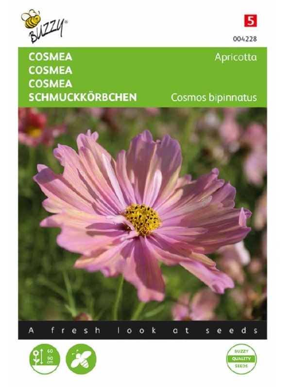  Cosmea bipinnatus, semena kvetoov, kvety, farebne kvety, pekne kvety, kvety do zahrady, netradicne kvety,