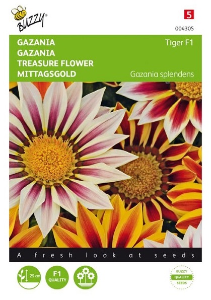 Gazania New Day Tiger F1 cca 15 semien
