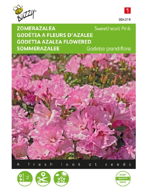 Godetia (Godécia), Clarika amoena Sweetheart Pink cca 0,75 g