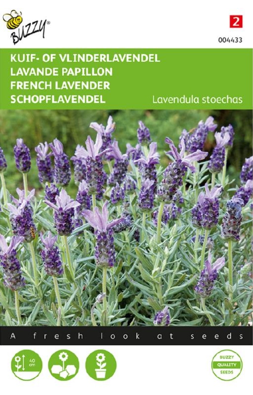 Lavendula stoechas (Levanduľa motýliková) cca. 0,1 g semien