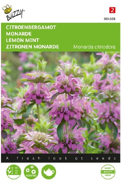 Monarda citriodora, Monarda citrónová, Bergamot cca 0,15 g