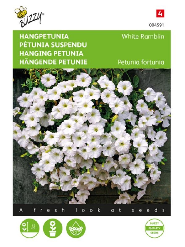 Petúnia previslá White Ramblin, cca 25 semien