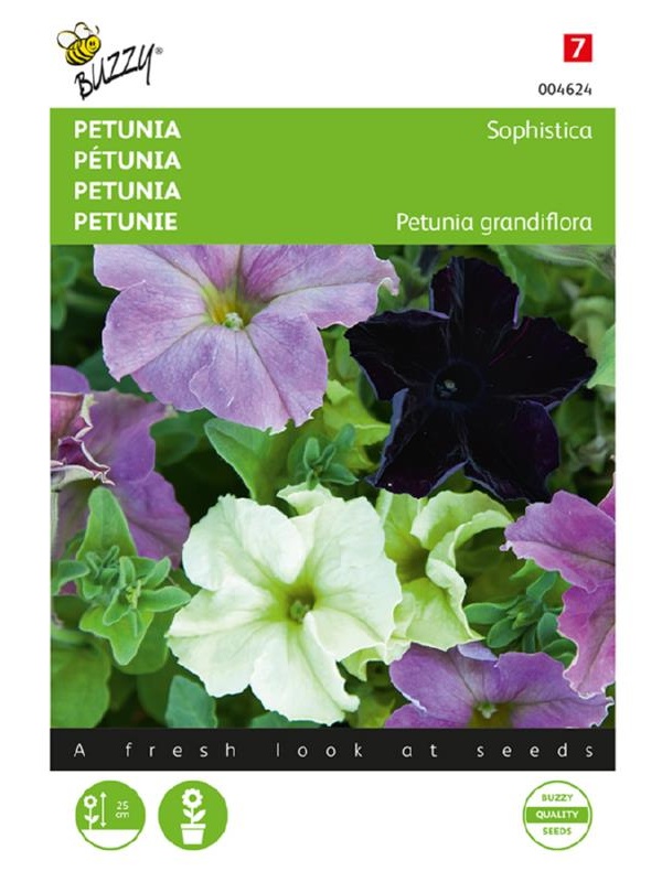 Petúnia Sophistica Mix, cca 10 semien
