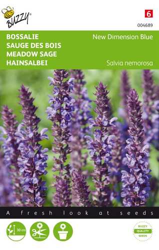 Salvia nemorosa New Dimension Blue cca 25 semien