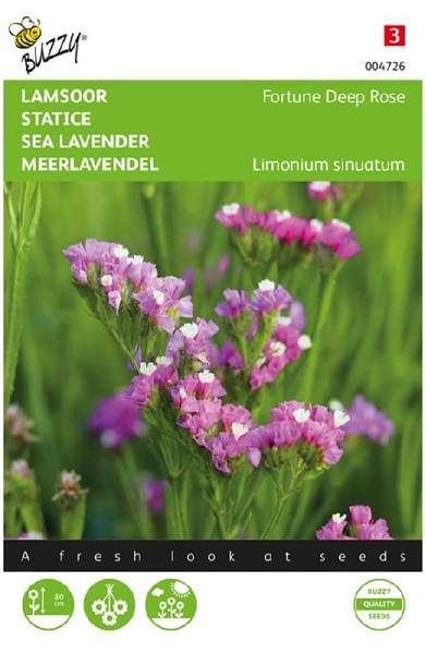 Limonium sinuatum Lavender Fortune Deep Rose cca 0,2 g