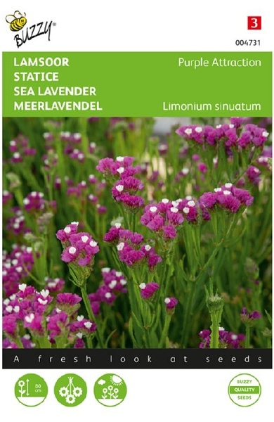 Limonium sinuatum Purple Attraction cca 0,2 g