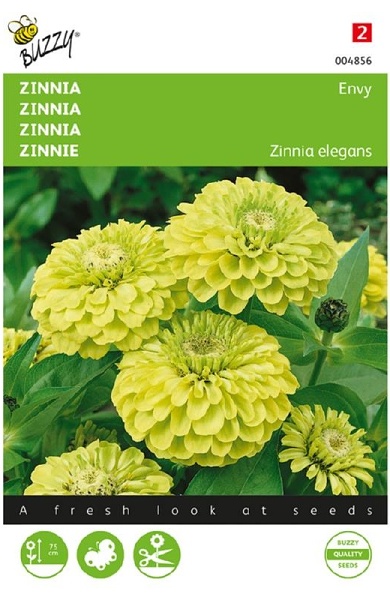 Zinnia Elegans Envy cca. 1 g